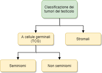 Tumore al testicolo: classificazione